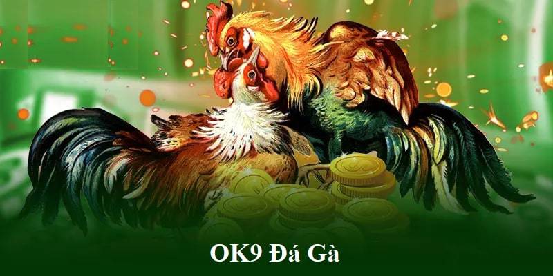 Lợi ích khi tham gia đá gà OK9 