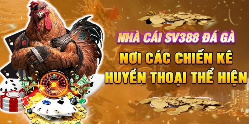 Sv388 - Sảnh Đá Gà Hấp Dẫn Với Các Trận Tranh Tài Kịch Tính